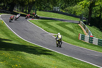 cadwell-no-limits-trackday;cadwell-park;cadwell-park-photographs;cadwell-trackday-photographs;enduro-digital-images;event-digital-images;eventdigitalimages;no-limits-trackdays;peter-wileman-photography;racing-digital-images;trackday-digital-images;trackday-photos